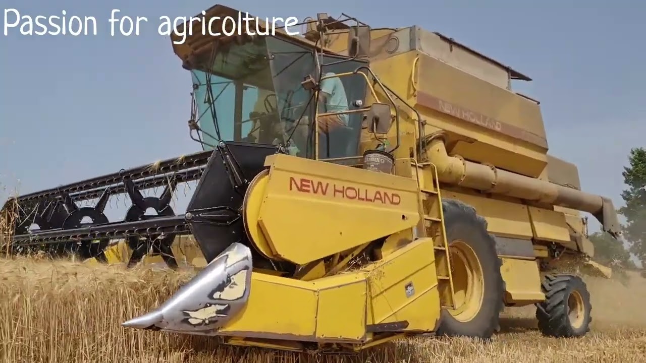 TREBBIATURA GRANO DURO | New Holland tx 34