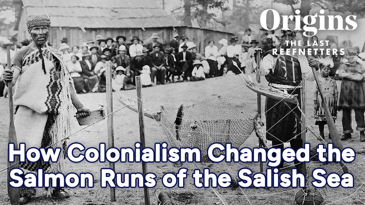 How Colonialism Changed the Salmon Runs of the Salish Sea | Origins: The Last Reefnetters