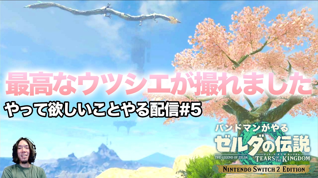 【やって欲しいこと募集中!!】ゼルダの伝説 ティアーズ オブ ザ キングダム バンドマンがプレイ