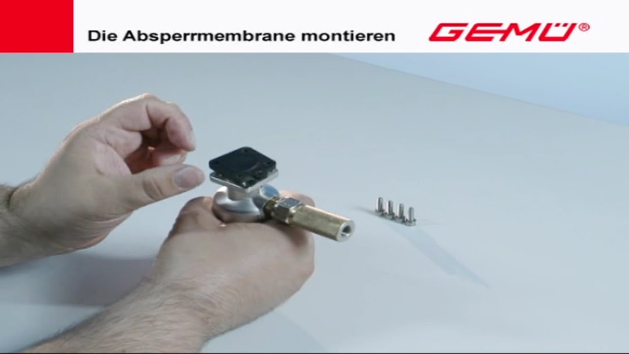 Maintenance/Instandhaltung: Diaphragm replacement DN4-DN300 [one piece and 5E] (English)