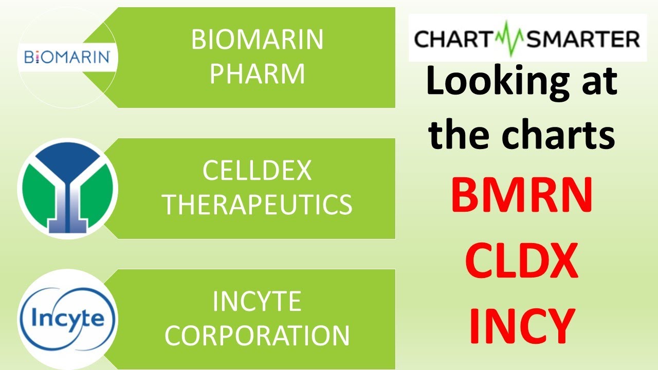 Technical Analysis with Chartsmarter - Biotech names BMRN, CLDX, INCY