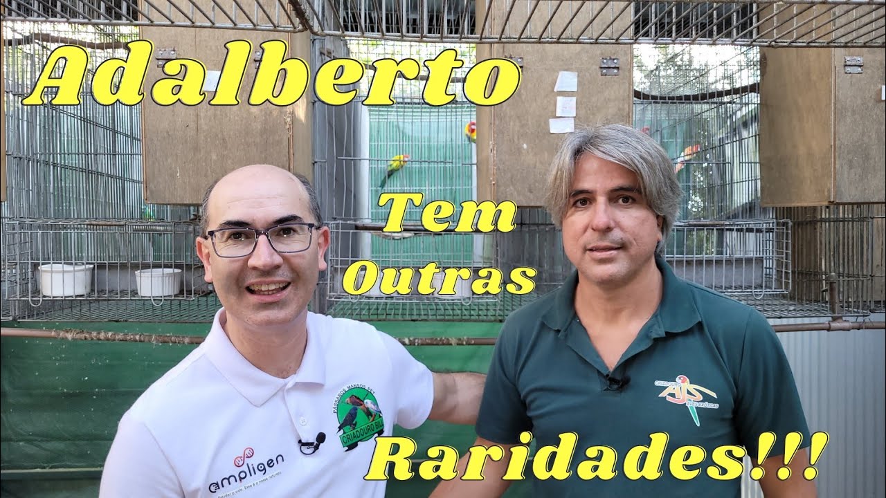 Série SP com Ampligen,o Rei das Roselas cria outras Raridades!!!