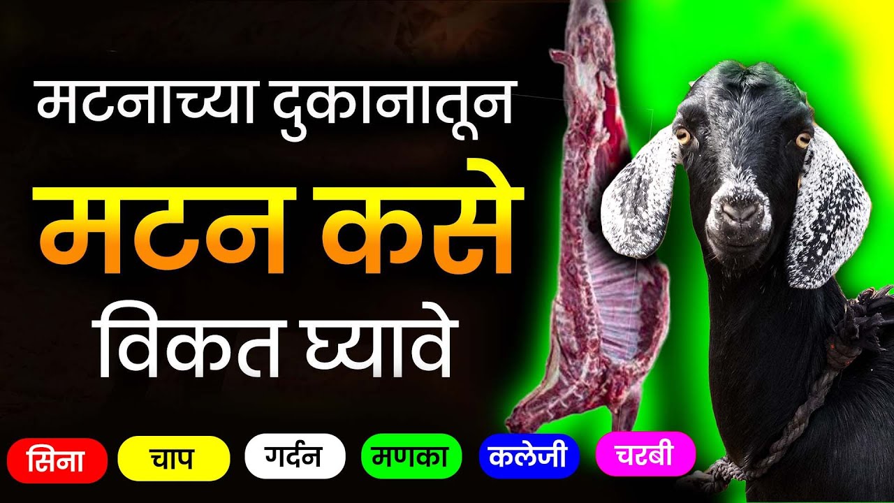 How to buy mutton from a mutton shop? मटणाच्या दुकानामधून मटण कसे विकत घ्यावे? काय घ्यावे व घेऊ नये