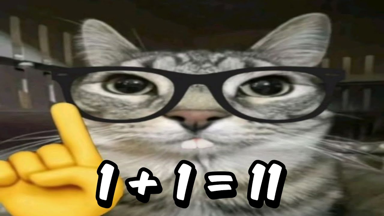 Shitposting Compilation V1