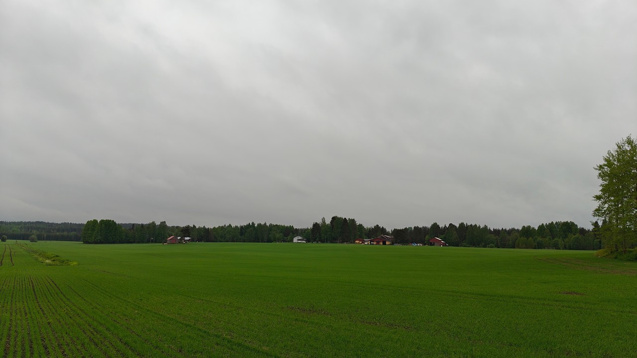 kasvukausi 2025