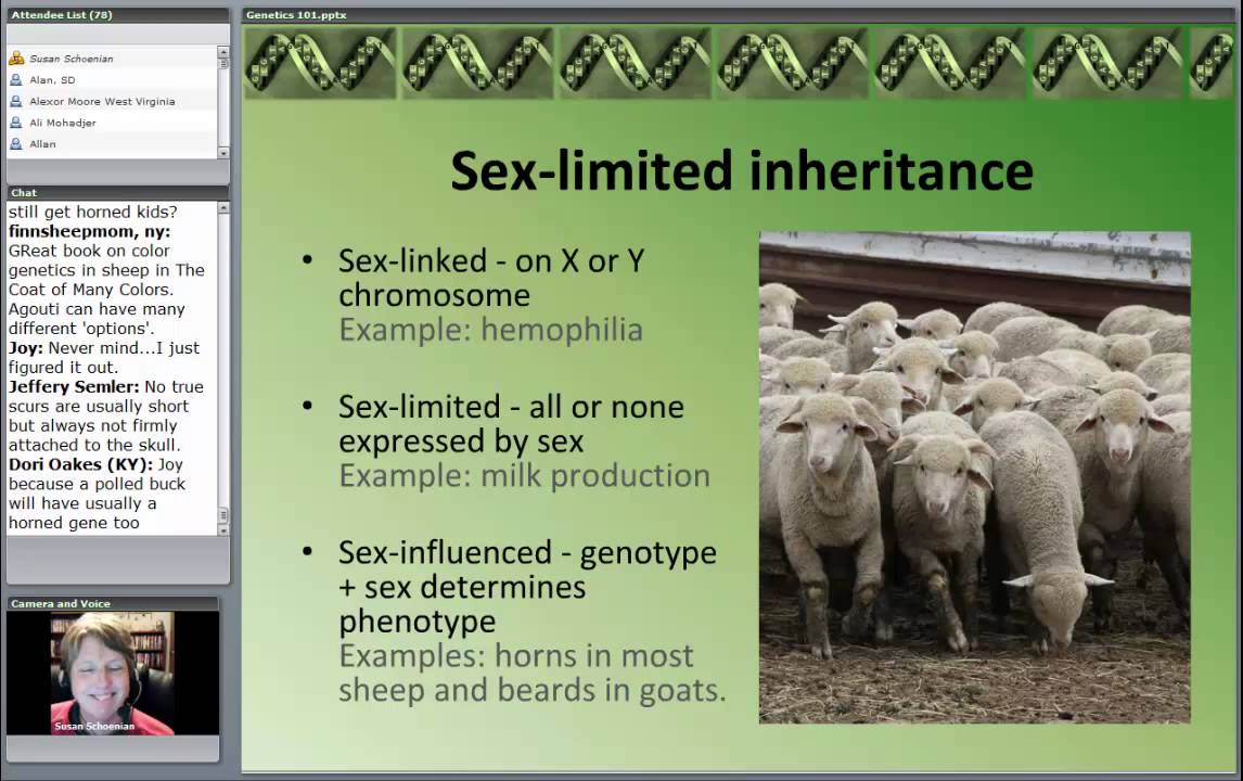 Genetics 101 - Part I