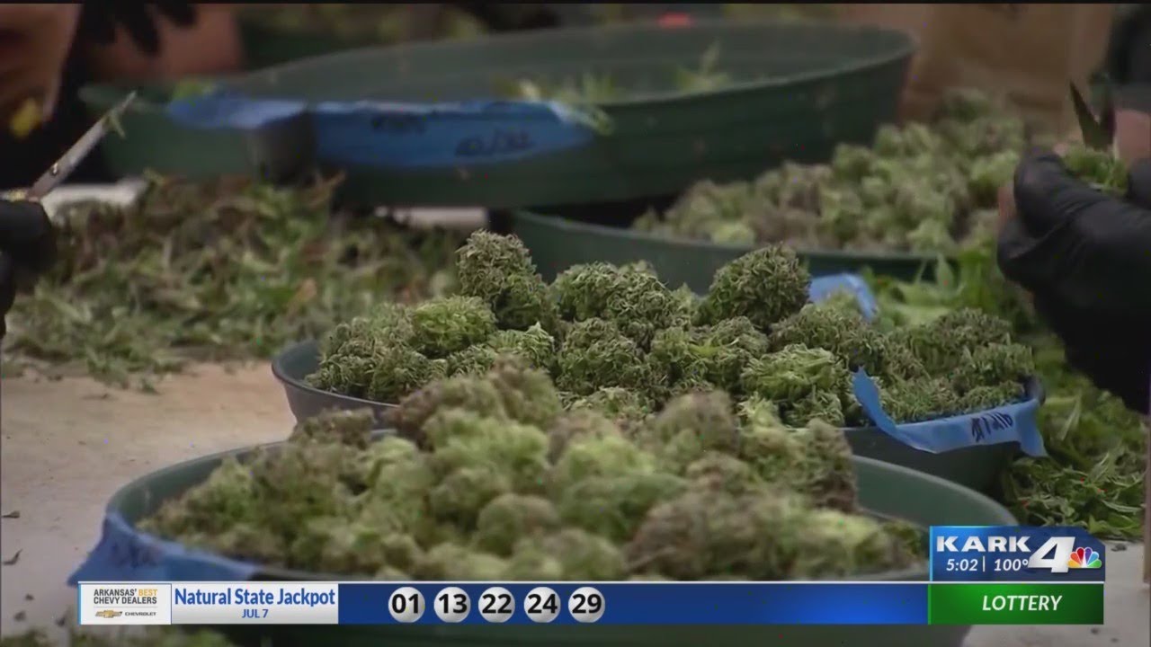 Group submits signatures for Arkansas recreational marijuana amendment&nbsp;