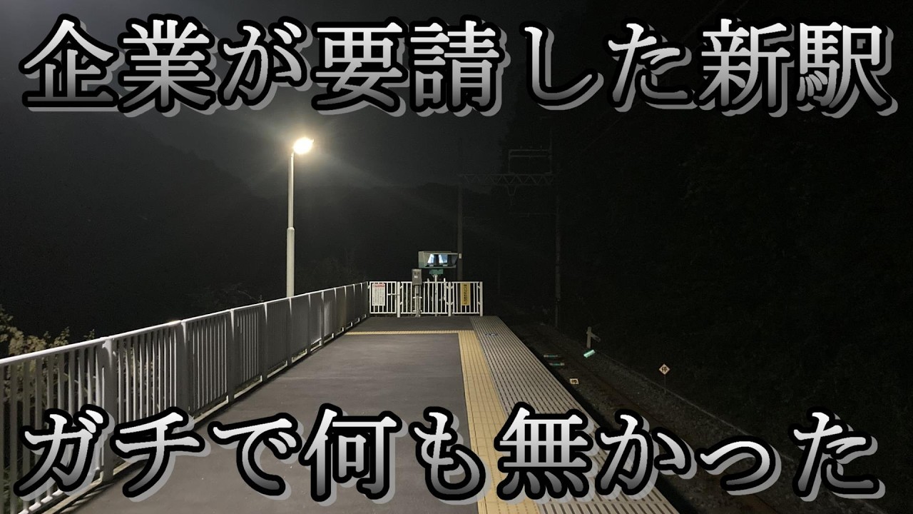 【東武で一番新しい駅】深夜の秘境駅に謎の利用者が！特殊な事情を持ったみなみ寄居駅の驚愕の実態！