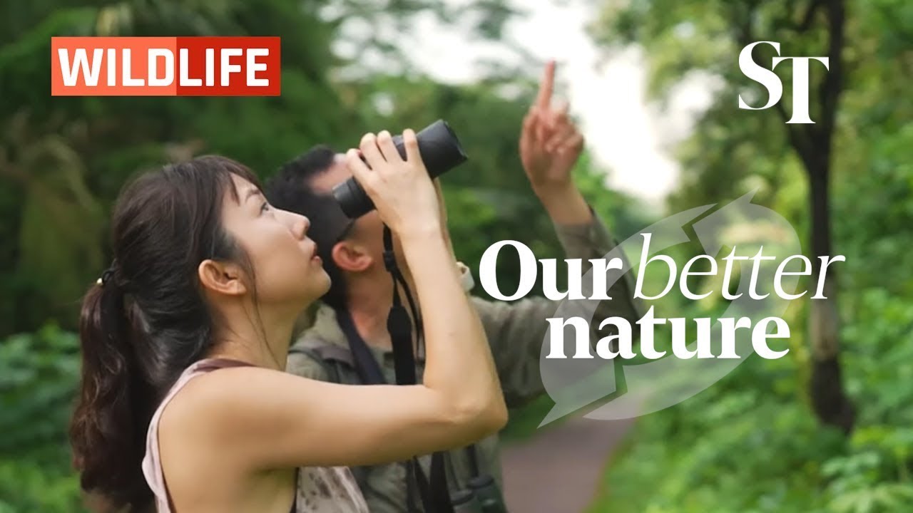 Wildlife | Our Better Nature EP2
