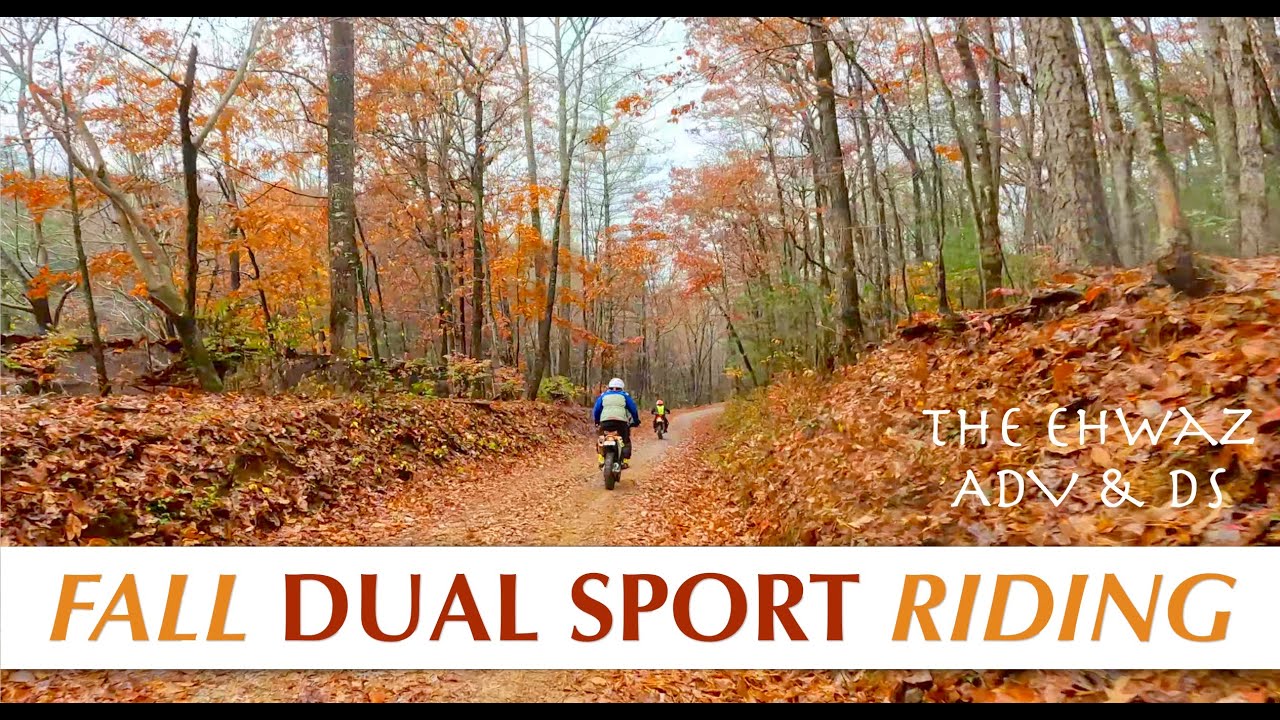 Dual Sport Riding in the Fall on a Kawasaki KLX 300 in 4K