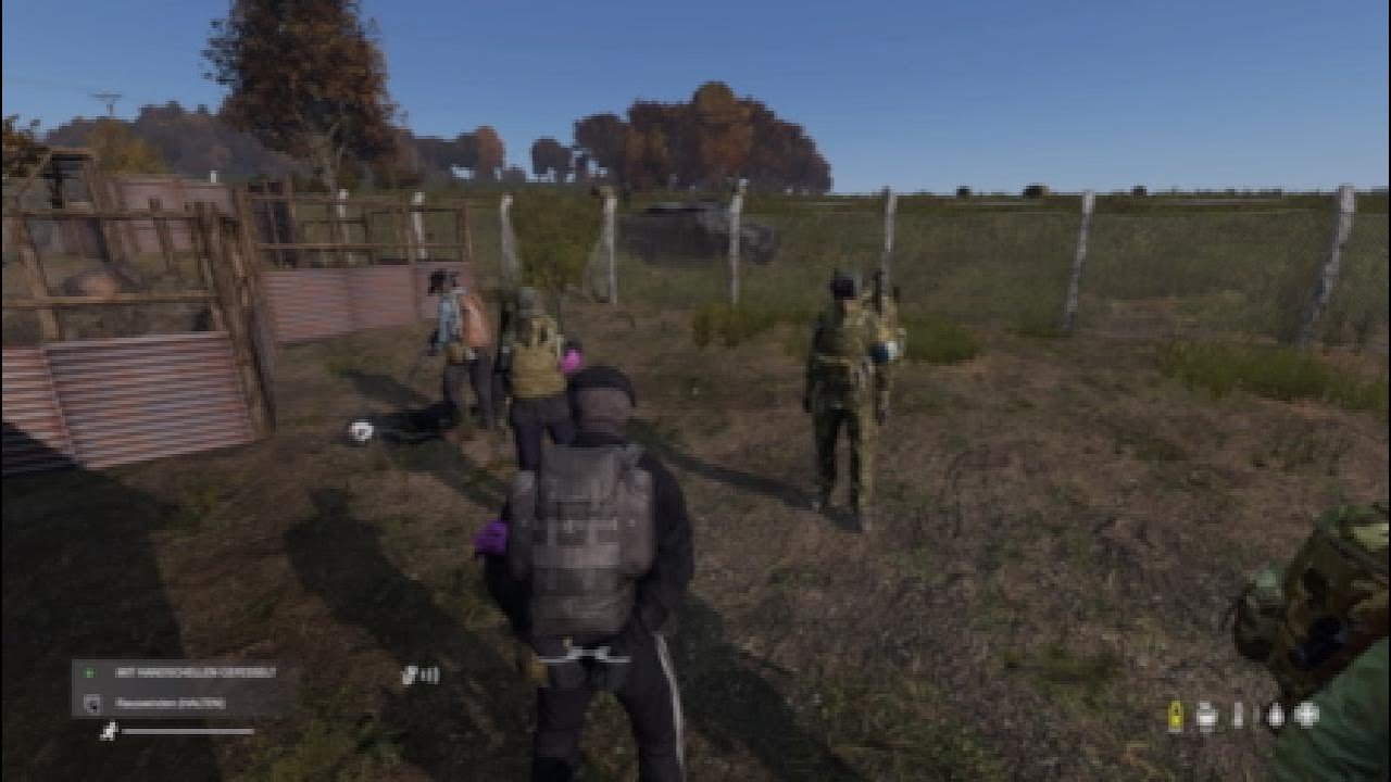 Dayz 7