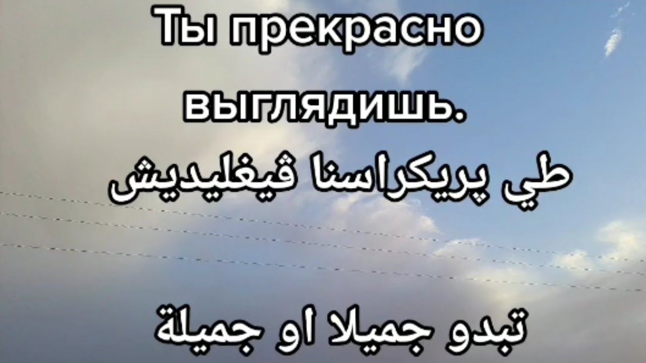 تجميع الفيديوات القصيرة في فيديو واحد للمبتدئين في اللغة الروسية الذين لم يسبق لهم التعلم 👋🤗