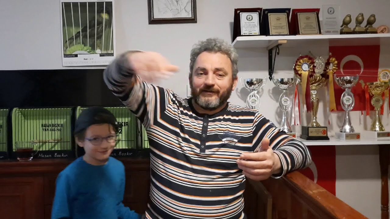 Kanaryalarda Ara Tüy Sorunu