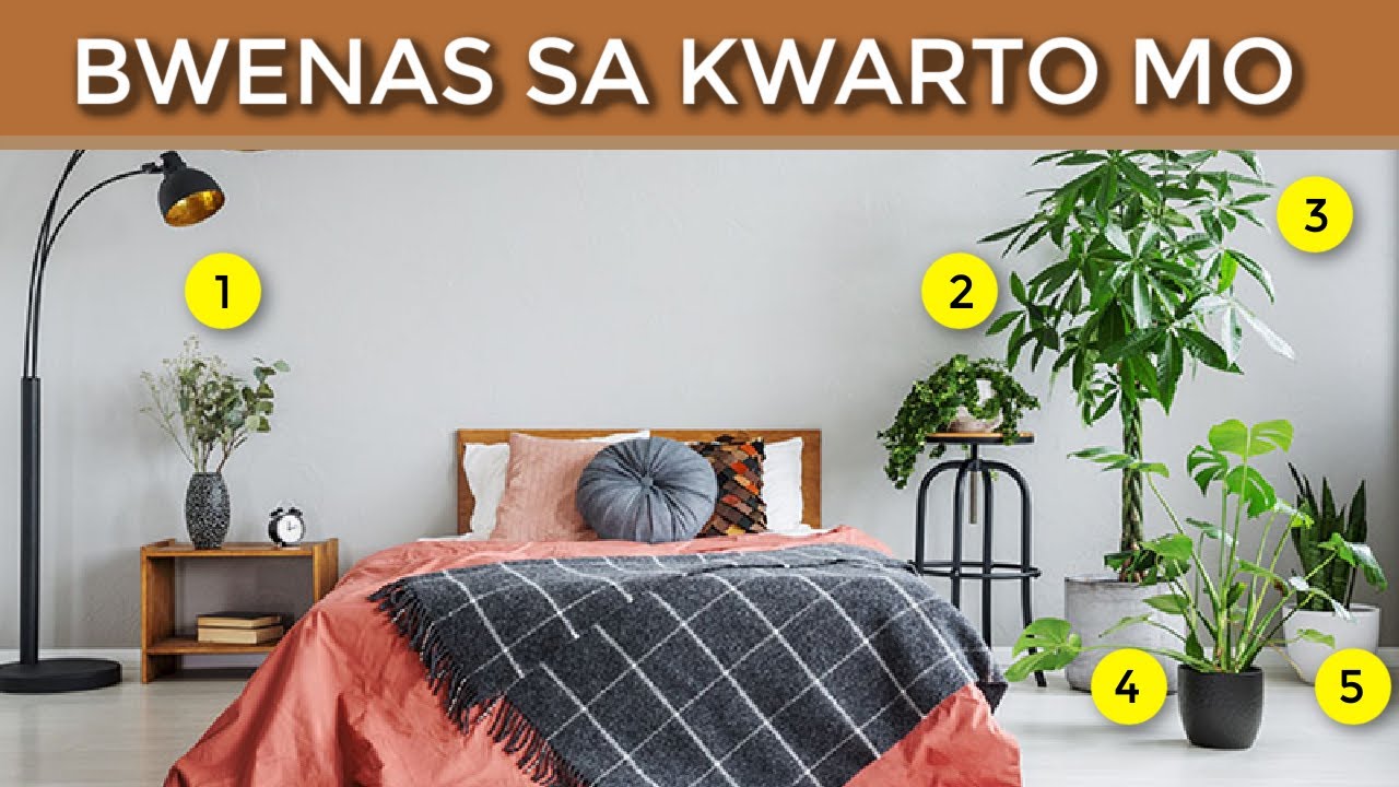7 Swerteng Halaman na Dapat mong Ilagay sa Iyong Bedroom