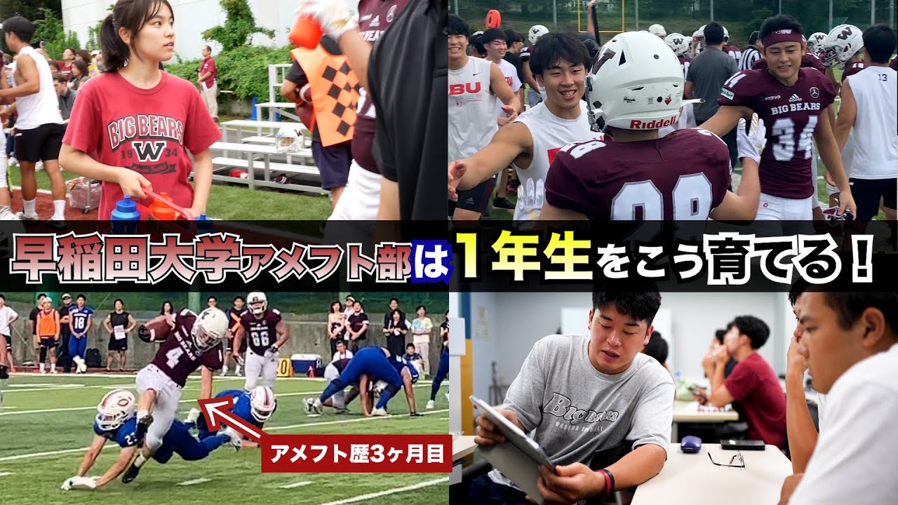 【アメフト】関東強豪校早稲田大学は一年生をこう育てる！