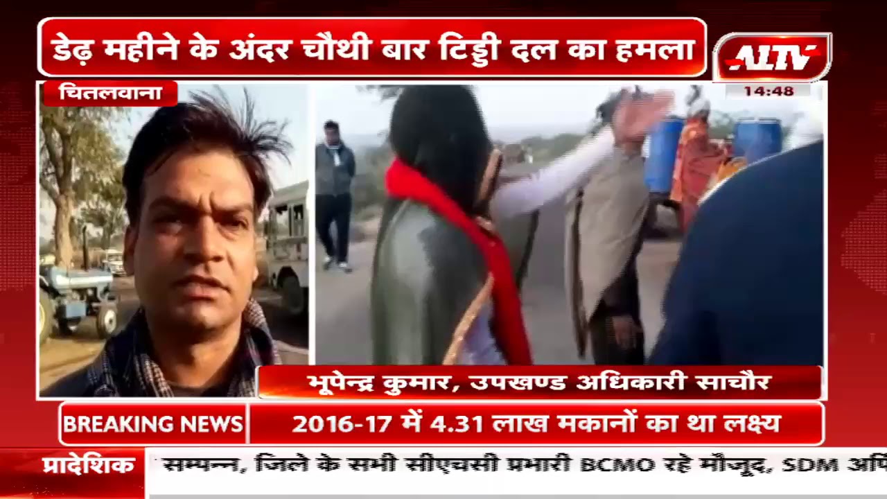 चितलवाना : डेढ़ महीने के अंदर चौथी बार टि़ड्डी दल का हमला