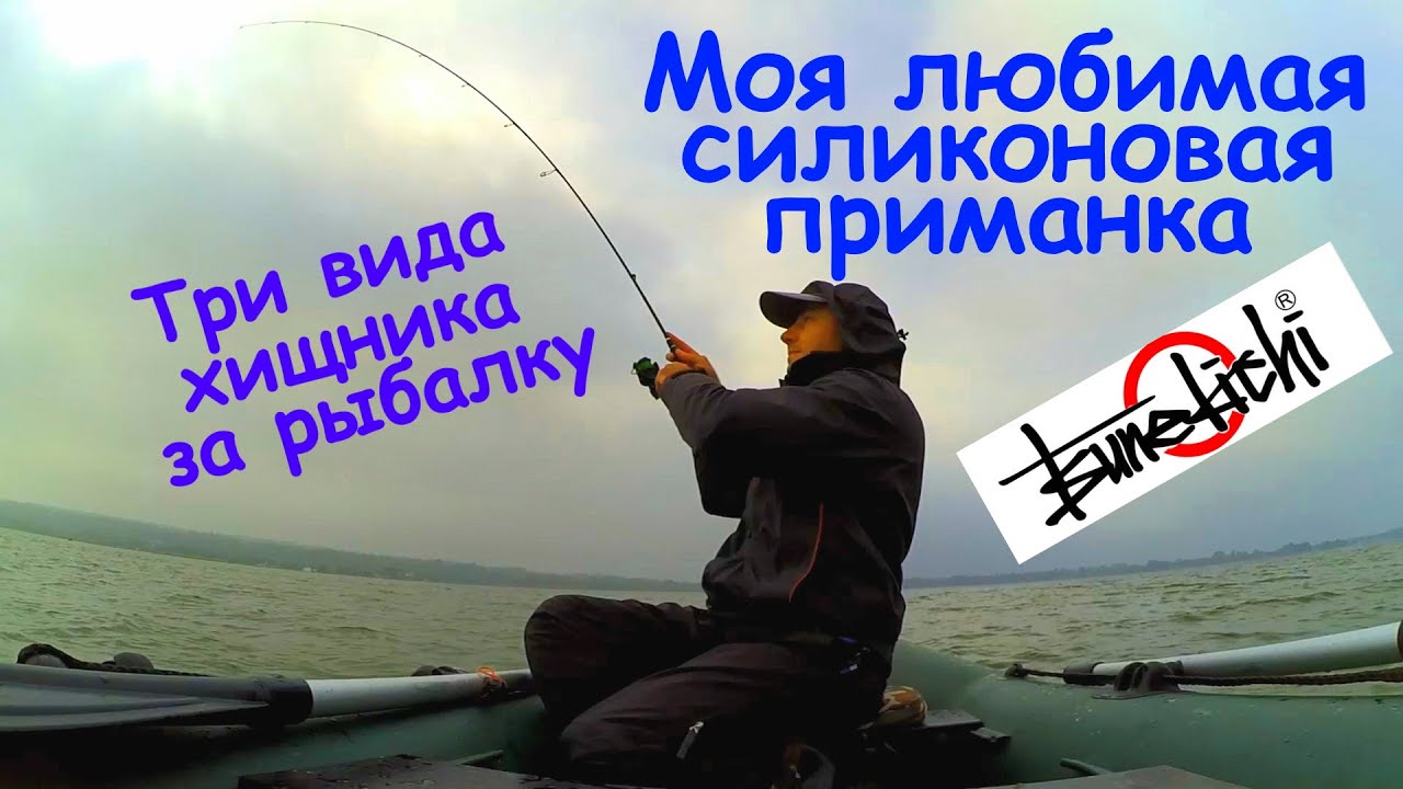 Моя любимая силиконовая приманка. Три вида хищника на одной рыбалке.