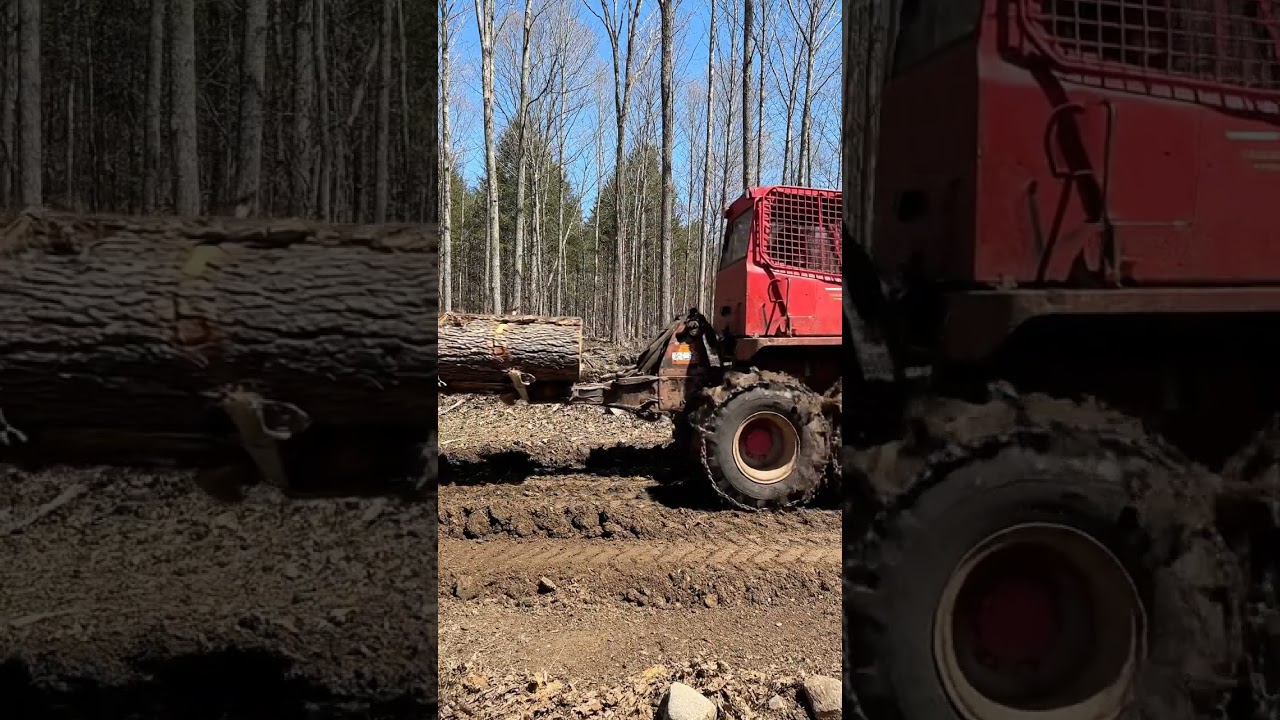 540 Skidder doing what it does best