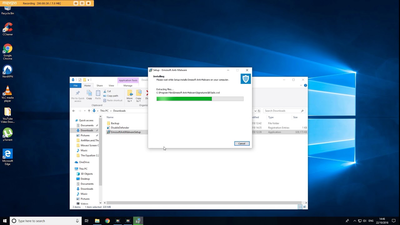 Emsisoft Anti-Malware installation guide