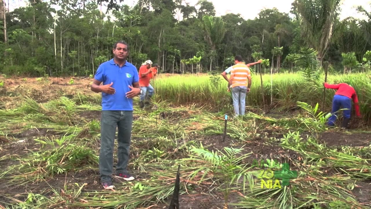 Amazônia mais (Cametá - Bloco 2)