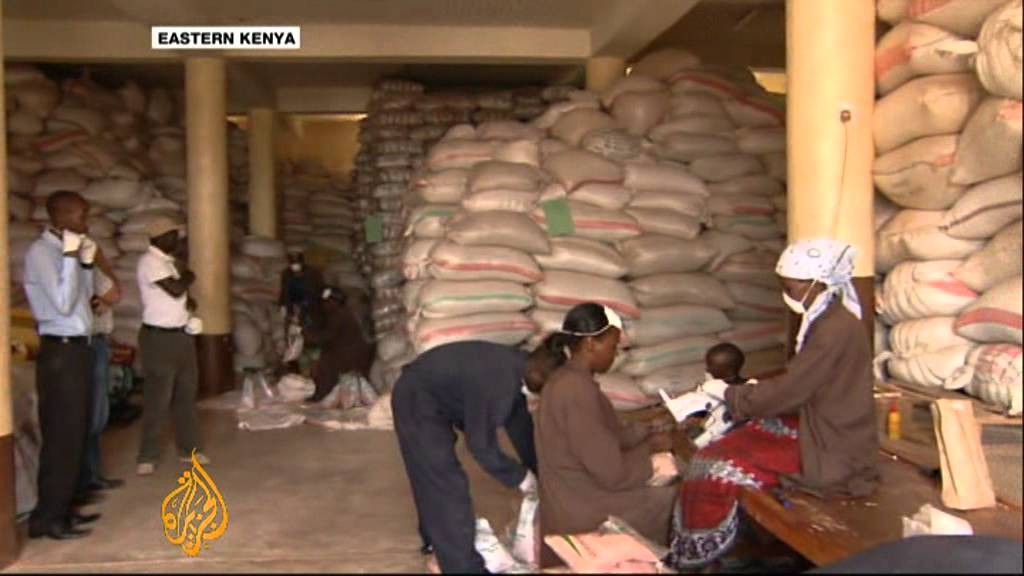 Drought resistant seeds assist Kenyan farmers