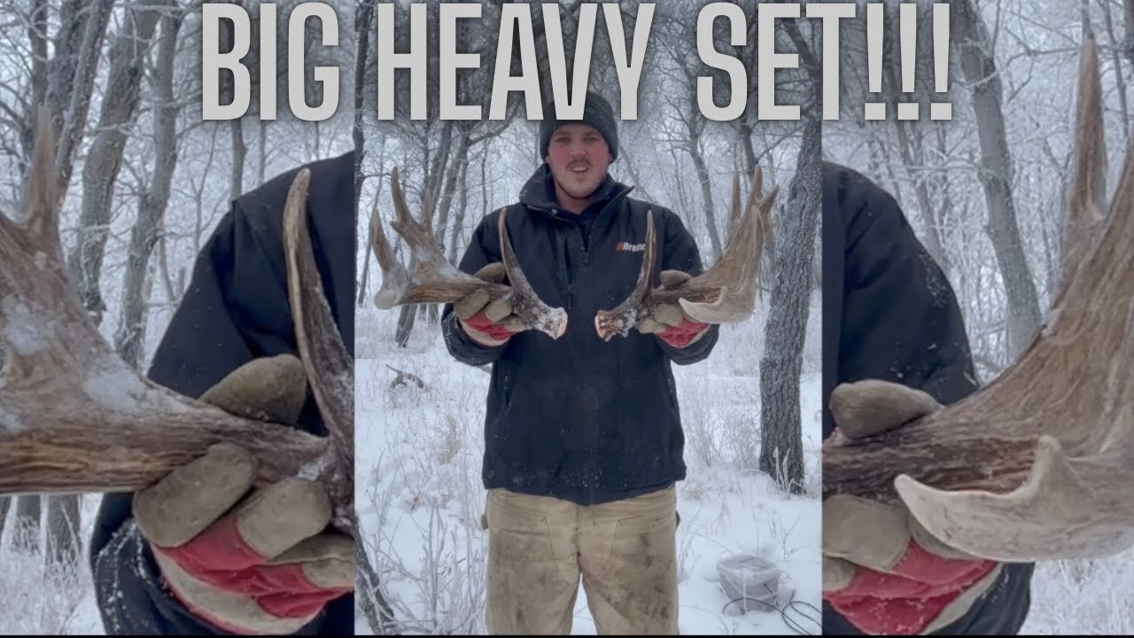 2026 SHED HUNT! 8