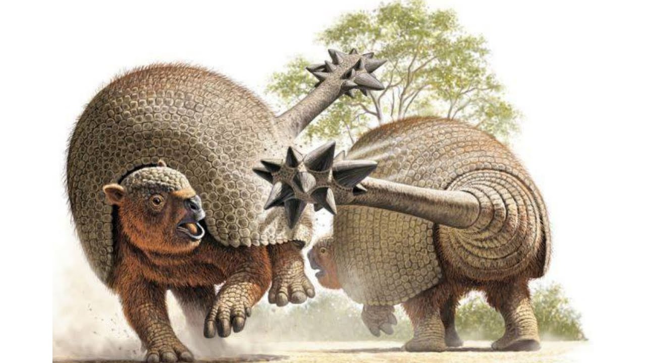 Paleo Log: Doedicurus