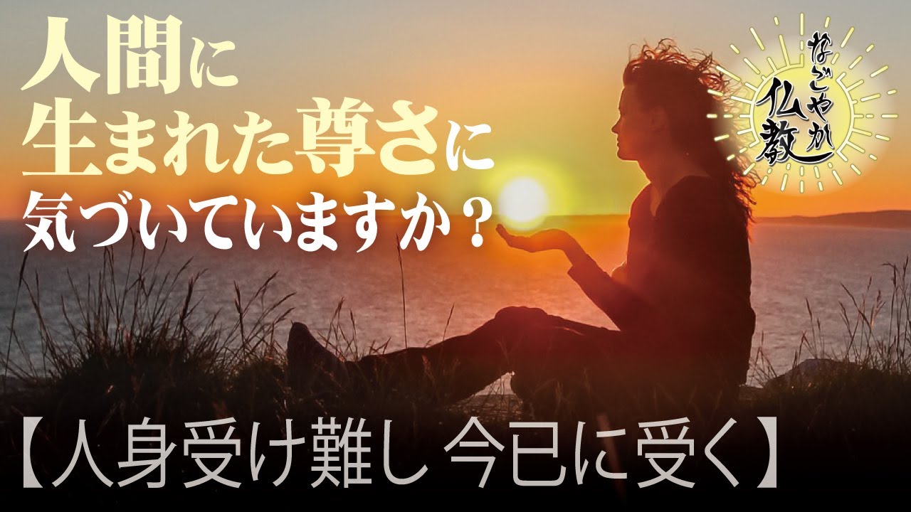 人間に生まれたことに喜びを感じていますか？《人身受け難し 今已に受く》【なごやか仏教14】