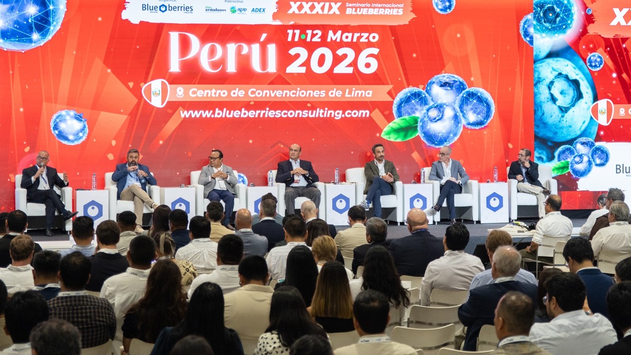 Resumen XXXIX Seminario Internacional Blueberries Lima - Per&uacute; 2026