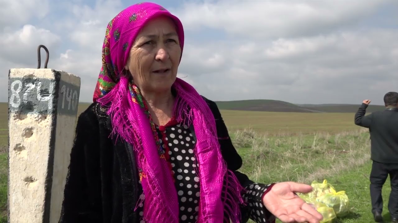 Аксияи тозагии шохрох