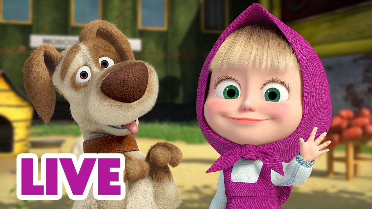🔴 LIVE STREAM 🎬 Masha and the Bear 🌳 Great Stories across the forest 📝🌟