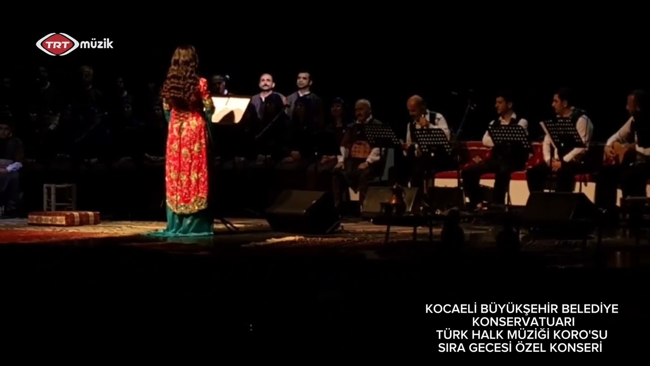 Hüsnün senin ey dilber-i nâdide kamer mi (Şiirli) HASAN ALİ HAMARAT