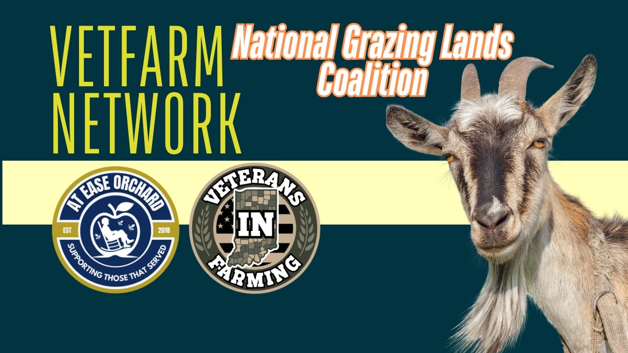 Grazing Basics for New Farmers — National Grazing Lands Coalition