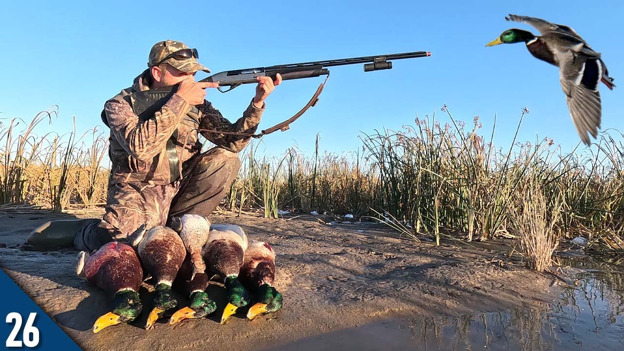 COLD FRONT Brought the MALLARDS! (Limited Out) | 28 Gauge Duck Hunting