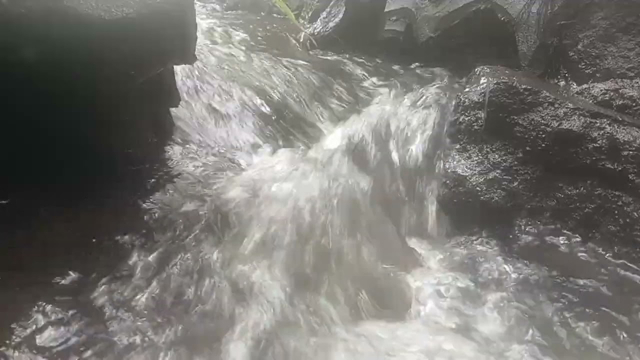 Relaxing River Flow with Gentle Water Sounds for Meditation
