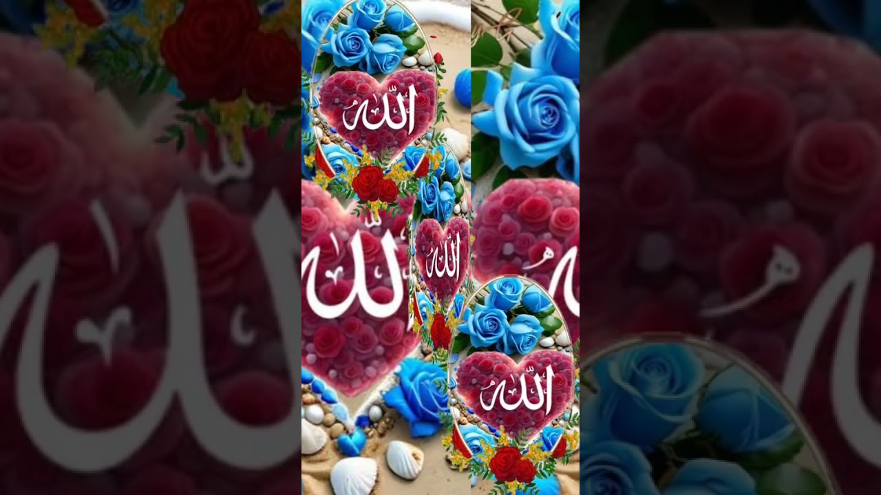 24 January 2026