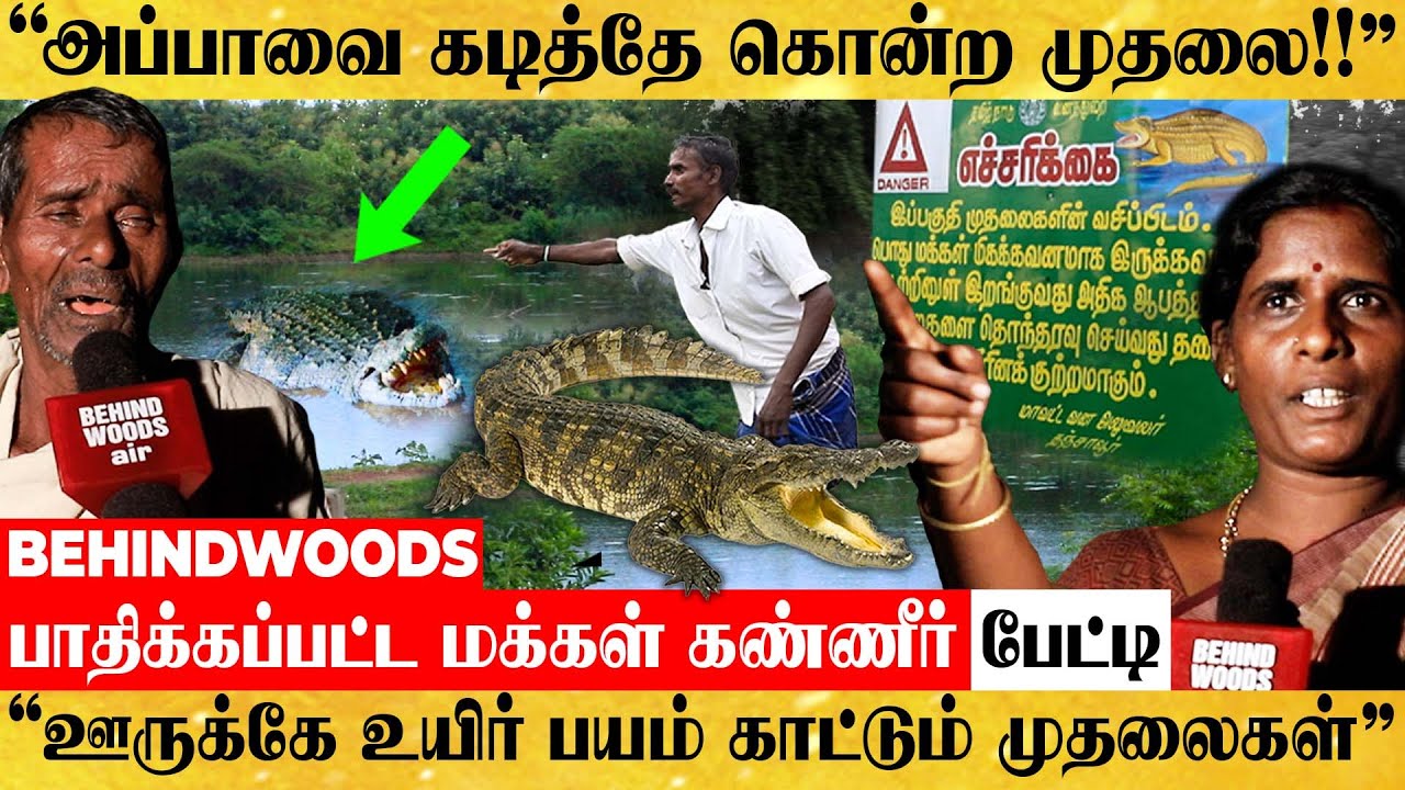 மக்களை வேட்டையாடும் கொம்பன் முதலை! உறைந்து கிடக்கும் கிராமம்.. விடிவு எப்போது? கண்ணீர் பேட்டி
