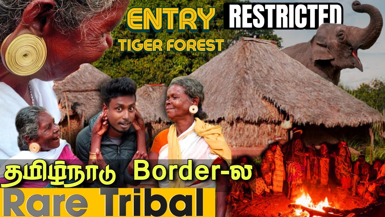 யாரும் சென்று பார்க்க முடியாத|Tamilnadu Border nearby Rare Tribal Area in tamil | Edison vlogs Tamil