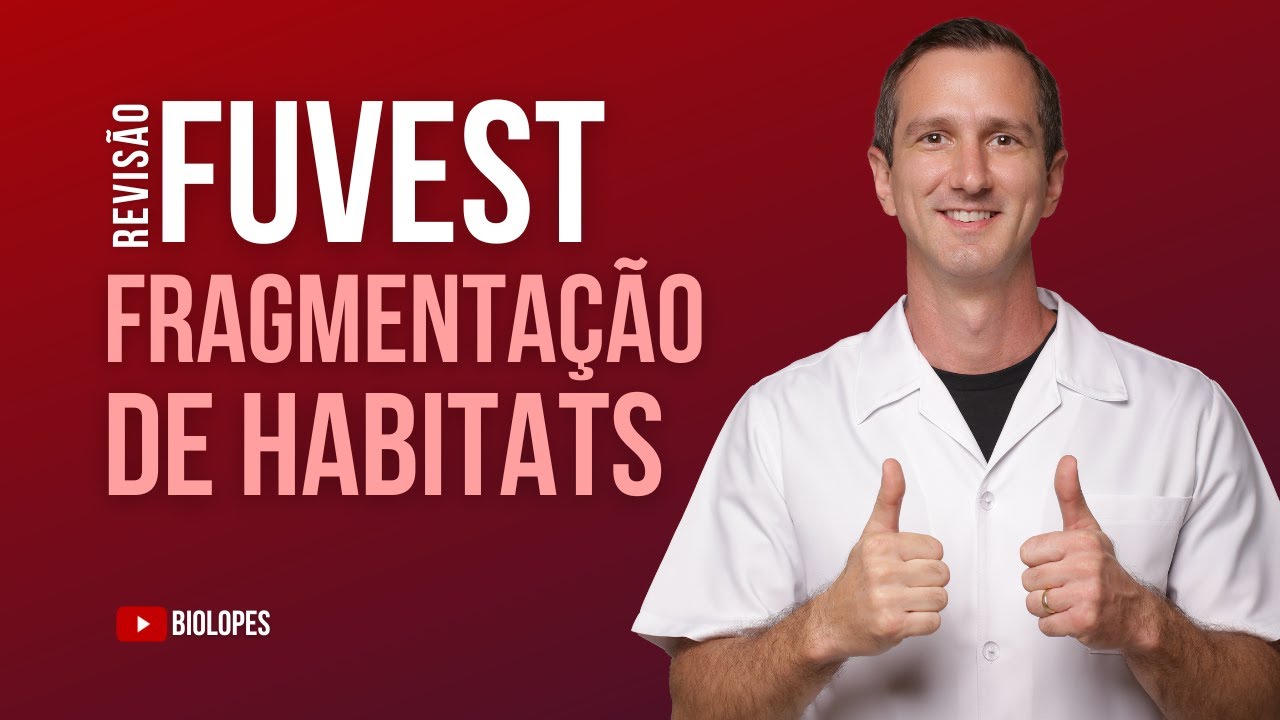 FUVEST 2025   A imagem a seguir ilustra o aparecimento de uma barreira que promoveu separação de uma