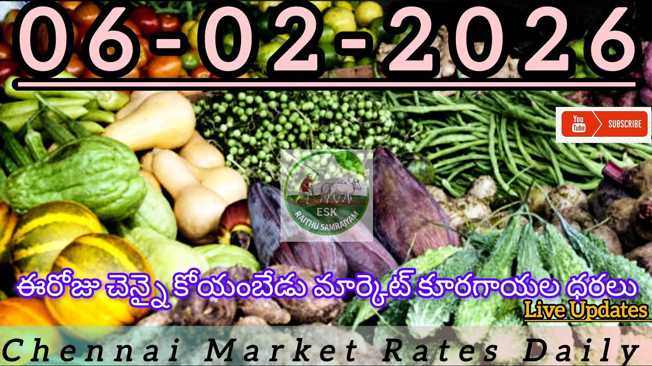 06-02-2026 ( చెన్నై కోయంబేడు మార్కెట్ కూరగాయల ధరలు  ( Today Chennai Marcket Vegitable Price)#allah 