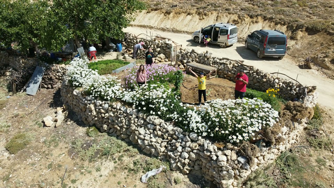 YAYLA ALİ ÖTEN MACERA BAŞLADI ... MACAR