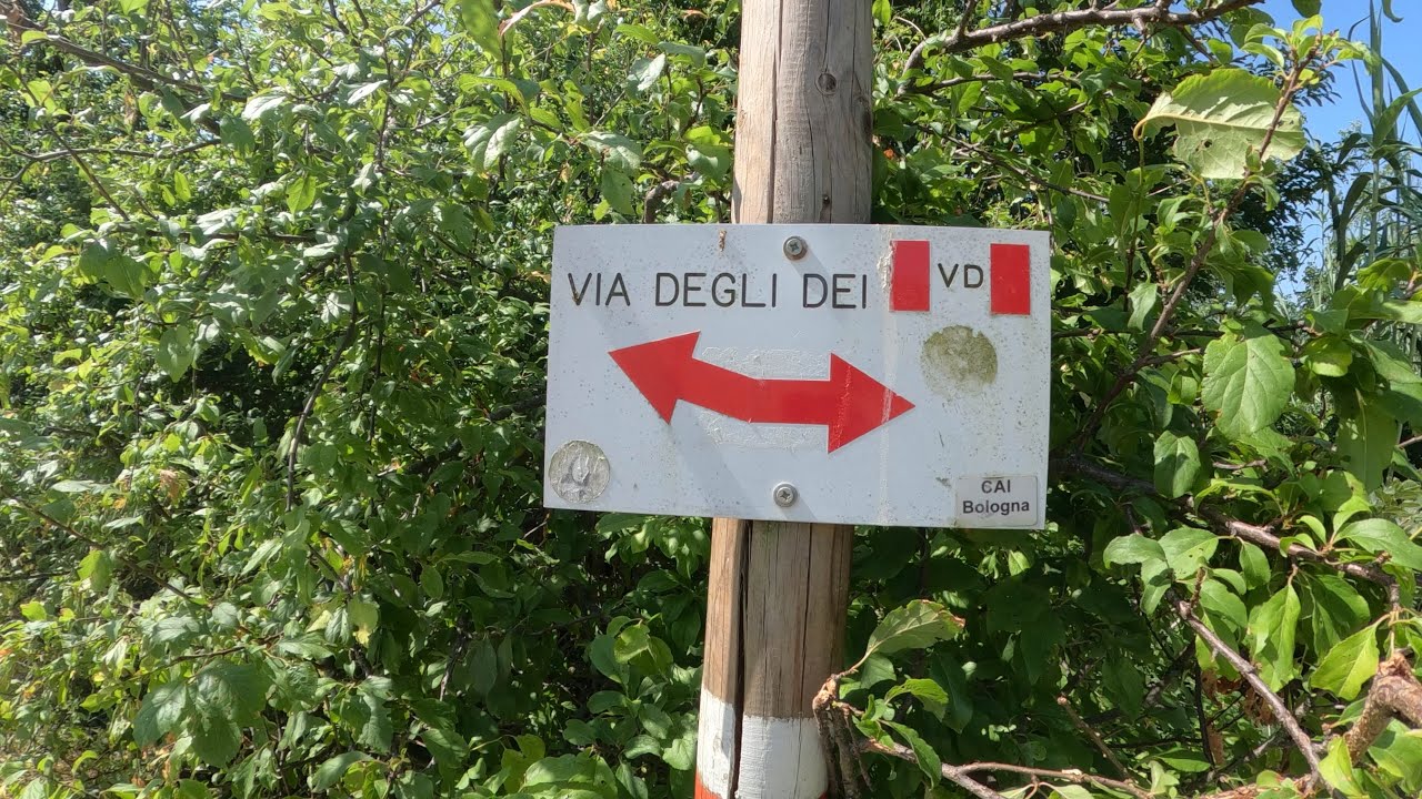 VIA DEGLI DEI