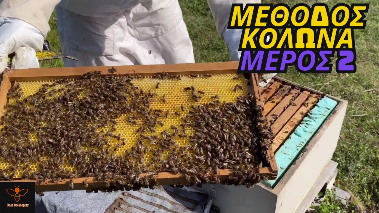 Η εξέλιξη και η σύγκριση των μεθόδων (24/03), Μέθοδος Κολώνα |Μέρος 2| Μελισσοκομία Όναρ