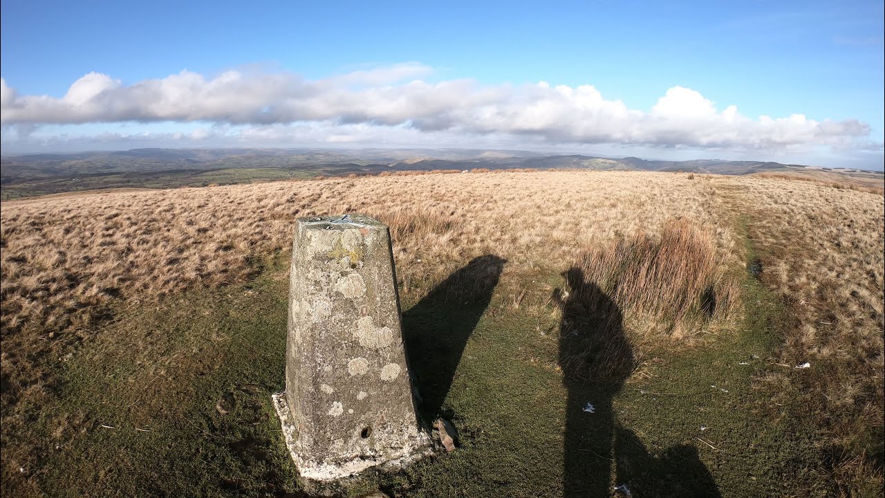 Mynydd Myddfai Circular Walk