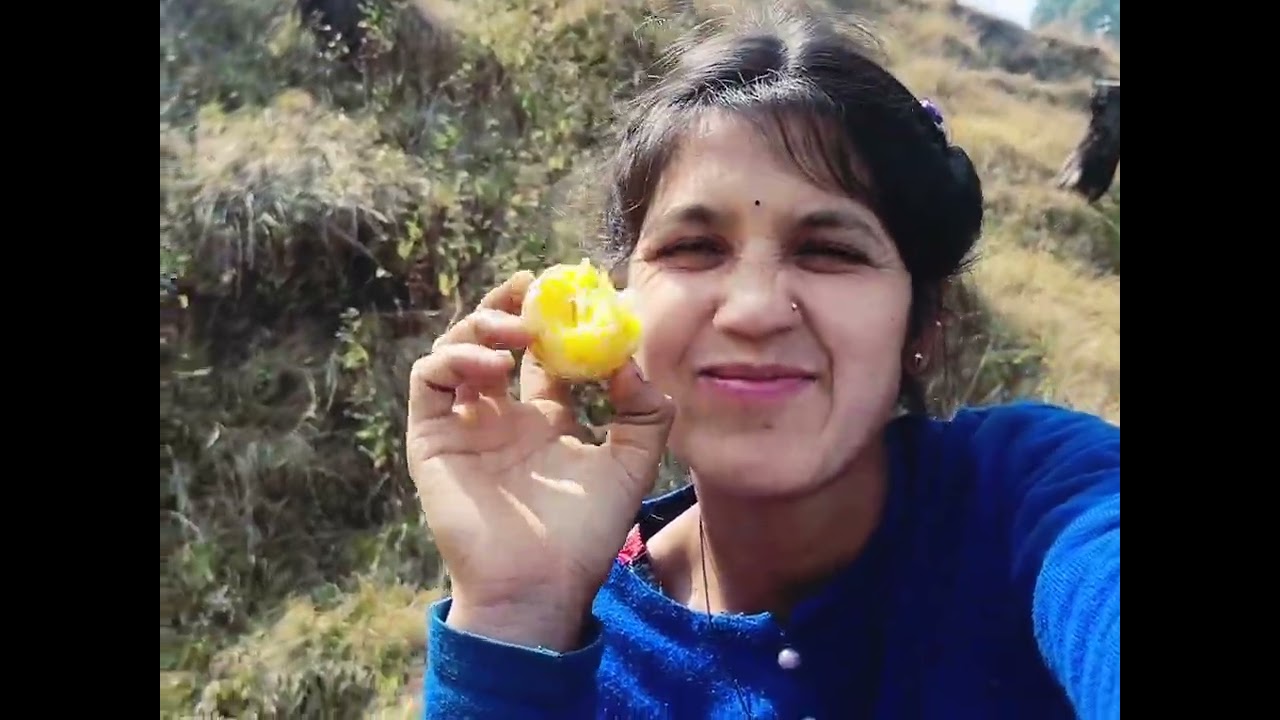 आज बंदरों ने किया बहुत सारा नुकसान रोना आ गया 🥺😔