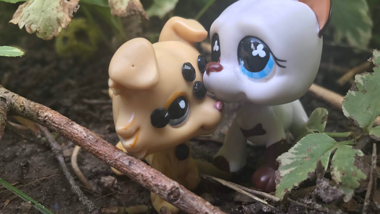 Lps ~Ready For It?~ Music Video
