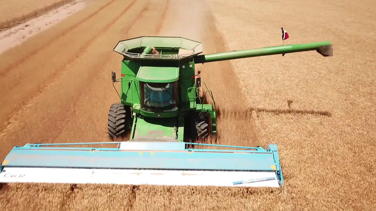 2018 West Texas Wheat Harvest