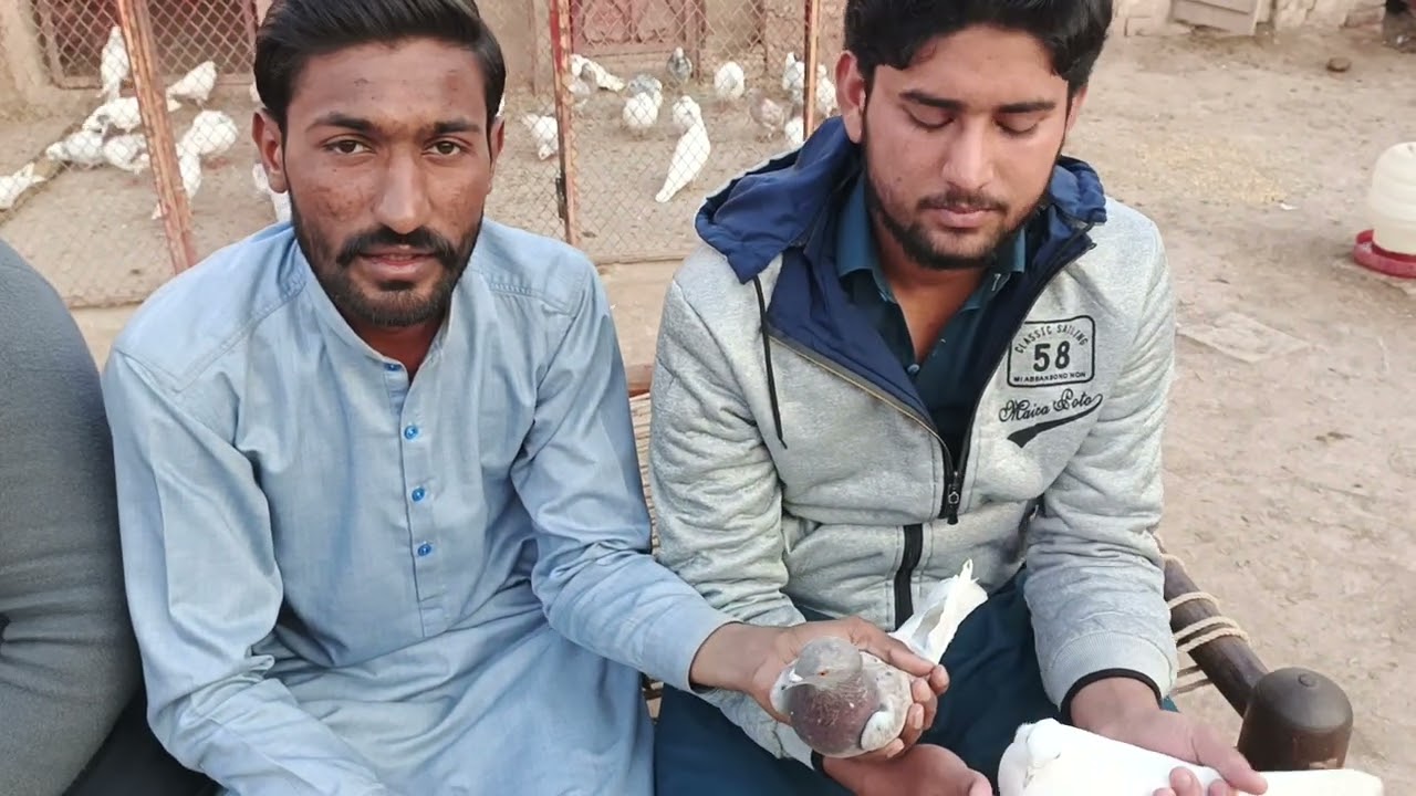 استاد رانا طاہر صاحب کے شاگرد عباس کےچھت کا بہت پیارا انٹرویو اور تمام نسل کا ان کے شجرے کا معلومات 