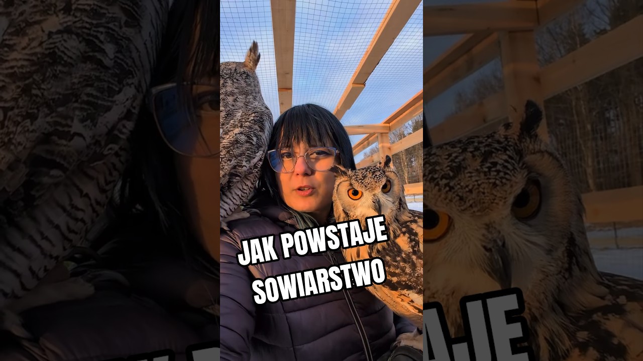Jak wygląda woliera dla s&oacute;w
