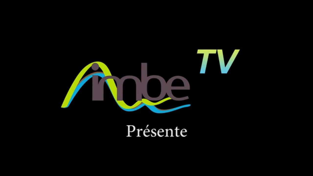 IMBE TV : intervention de Xavier Daumalin (Aix Marseille Université)